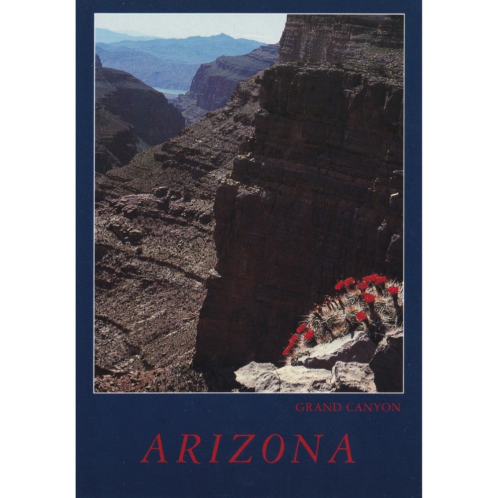 Grand Canyon Arizona Cactus Postcard Petley Desert Botanical Scenic Unposted